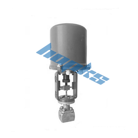 �綯С�������ڷ�