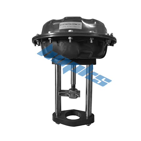 ������Ĥִ����