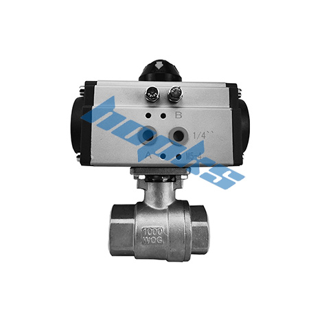 ������Ƭʽ��